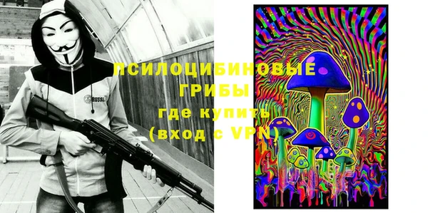 прущий лед Козельск