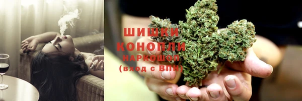 прущий лед Козловка