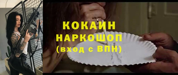 хмурый Туринск