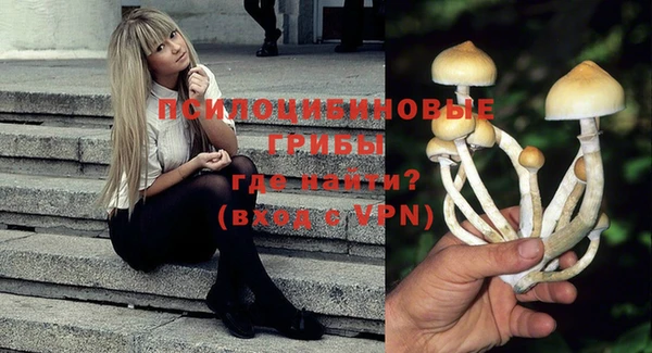 прущий лед Козельск