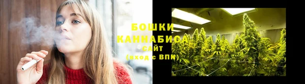 прущий лед Козельск