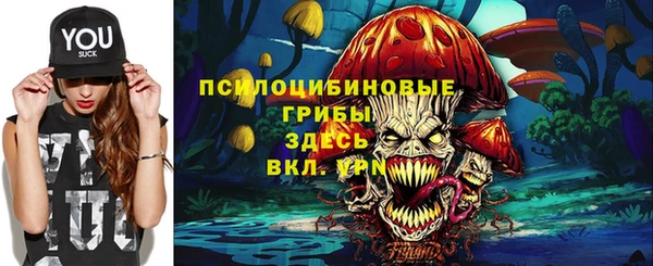 прущий лед Козловка