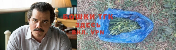 прущий лед Козловка