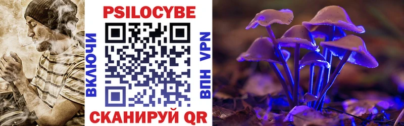 Псилоцибиновые грибы мухоморы купить наркоту Мамадыш